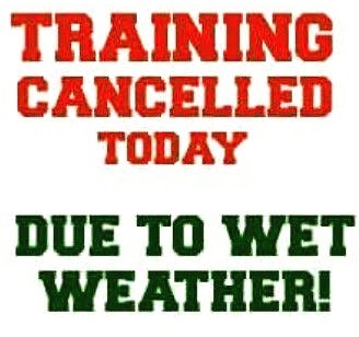 MINIS TRAINING CANCELLED TONIGHT  Your managers will be in touch tomorrow if you...