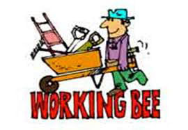 Just a reminder about our working bee tomorrow starting 9am. Please join us for ...