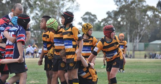 Narrabeen Tigers Junior Rugby Club is now on WhatsApp.