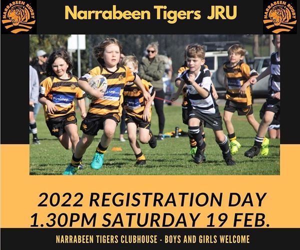 Narrabeen Tigers Junior Rugby Union regi